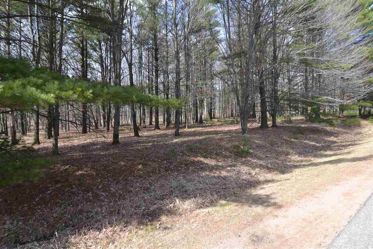 Lot 4 43RD AVENUE - Photo 1