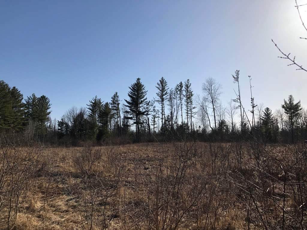 30 Acres MOL State Highway 107 - Photo 1