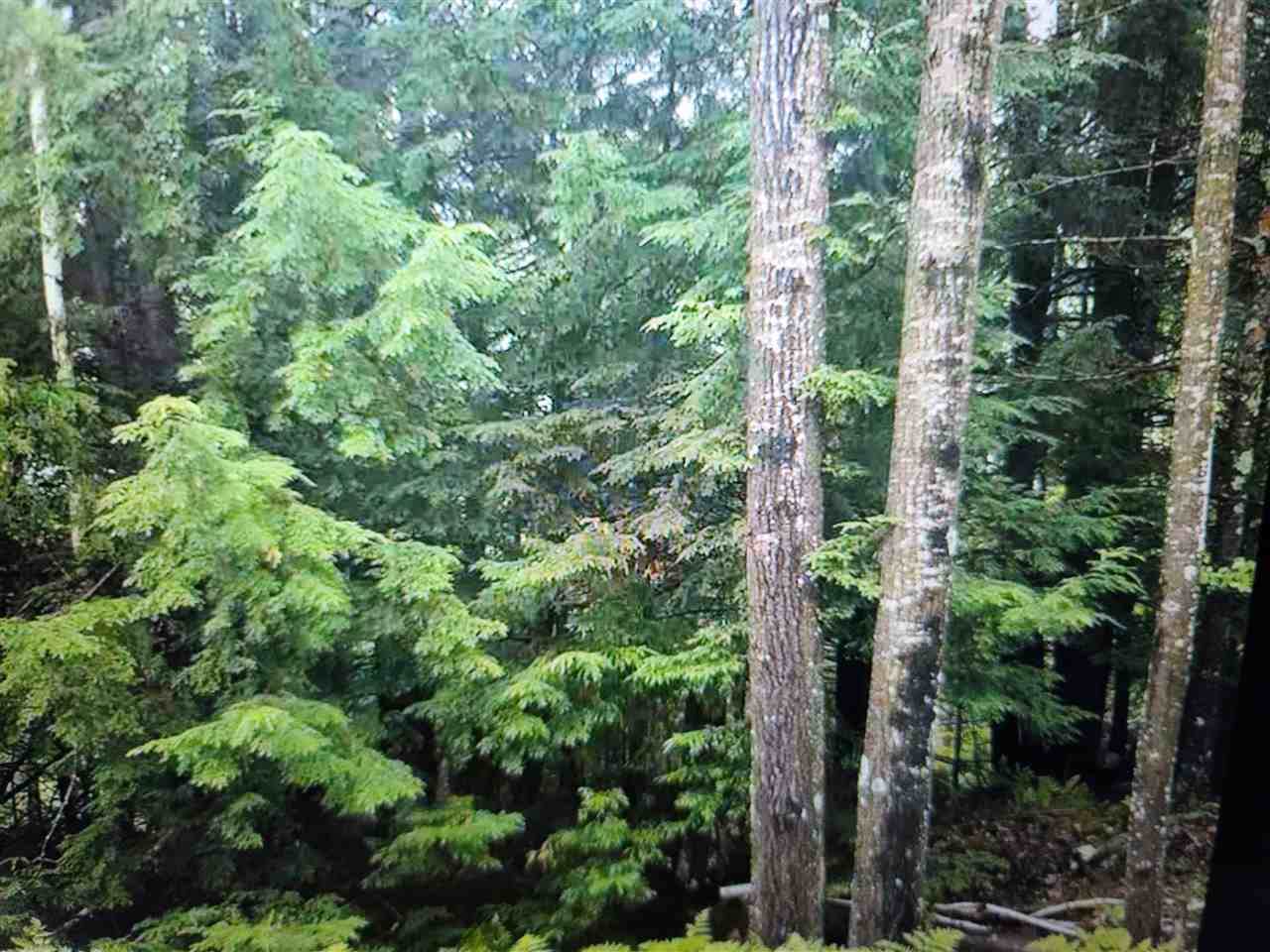 8.98 A County Line Road - Photo 1