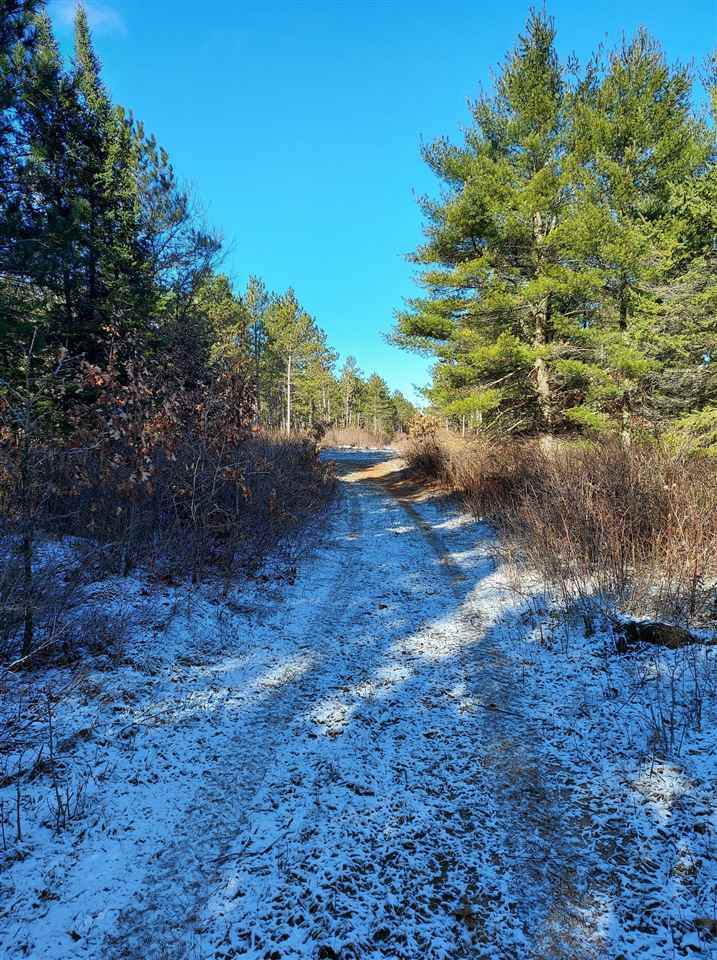 181 Acres Bell Road - Photo 1