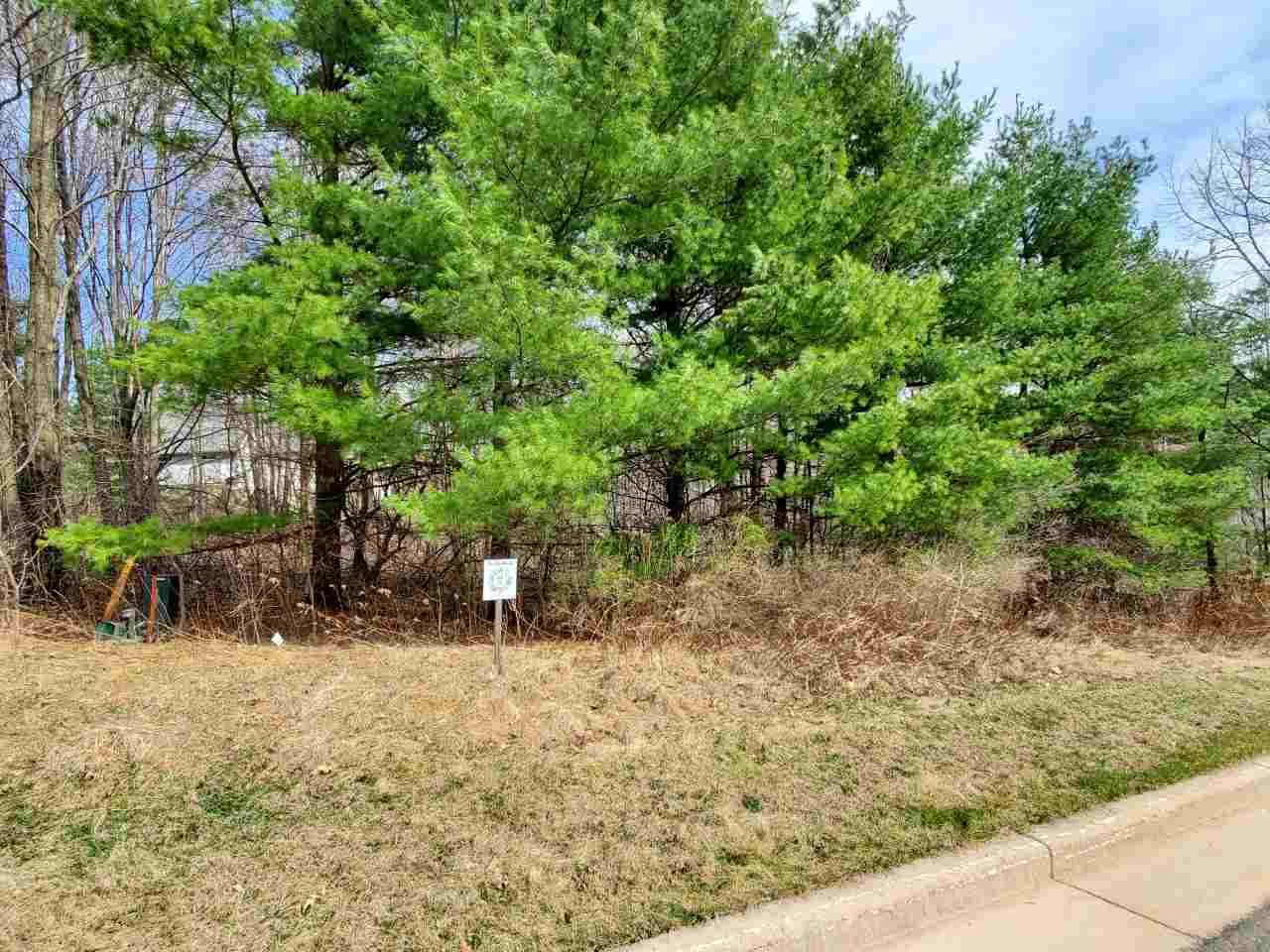1705-Lot 19 Wildlife Court - Photo 1
