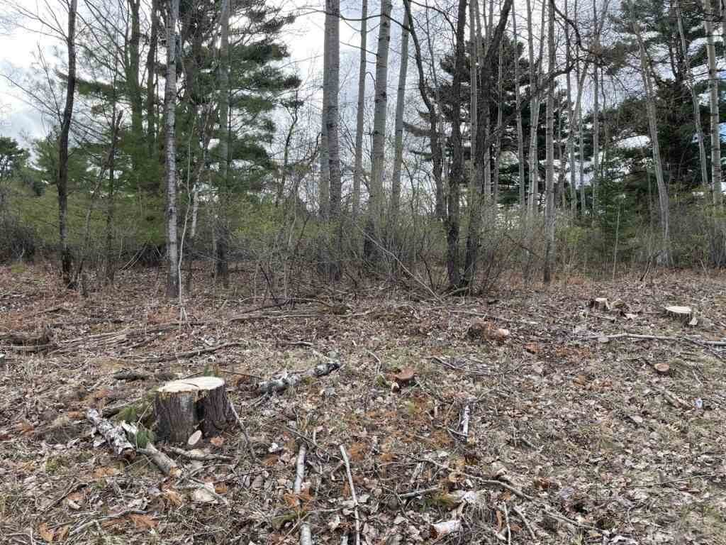 315 36TH AVENUE - Photo 1