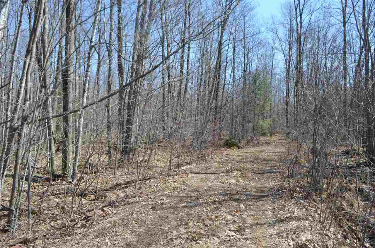 40 Ac Trappe River Road - Photo 1