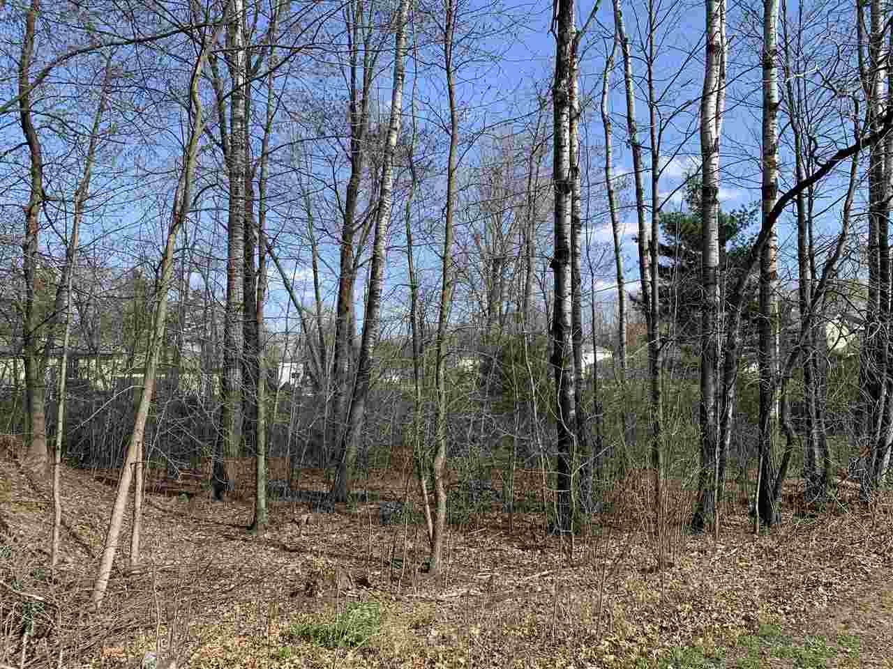 00 Echo Dells Avenue - Photo 1