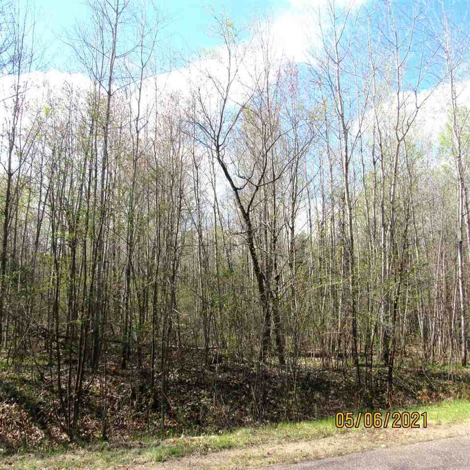 5 Acres Edward Drive - Photo 1