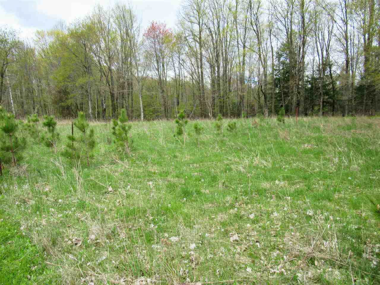 +/- 5.39 Acres Sawyer Avenue - Photo 1