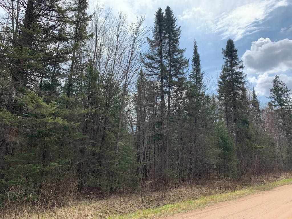 40 Acres County Road J - Photo 1