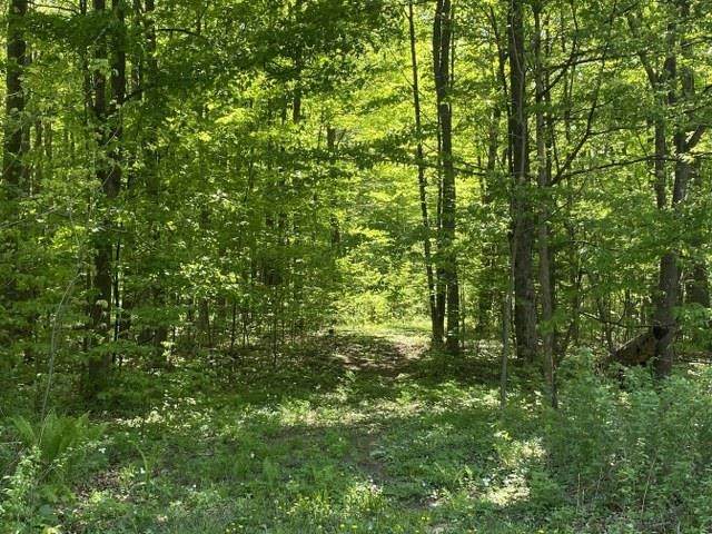 129260 Hillwood Road - Photo 1