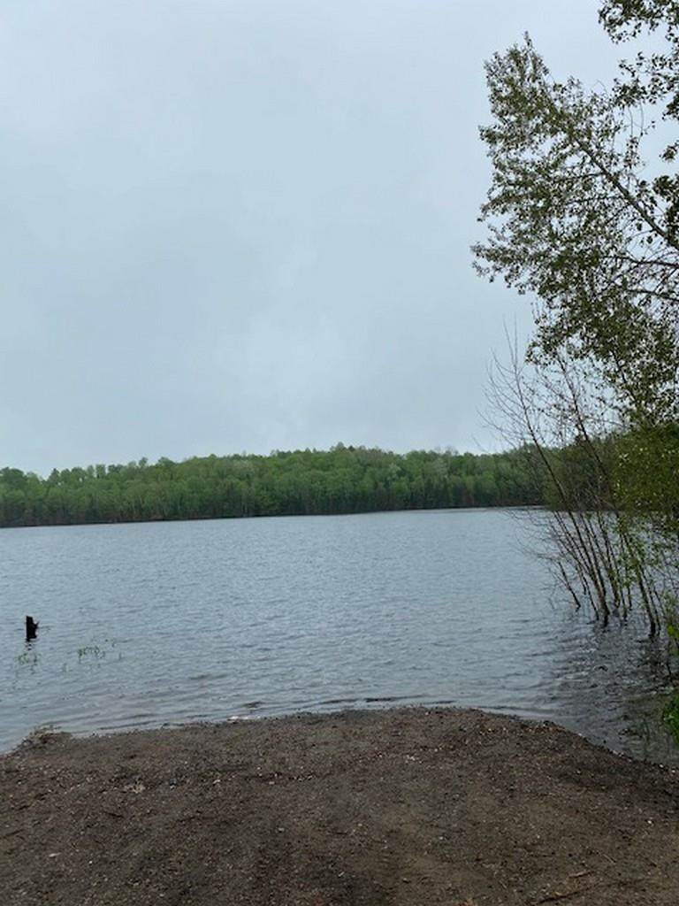 80 Acres Polar Road - Photo 1