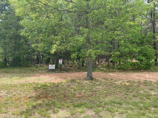 2265 Timber View Drive - Photo 1