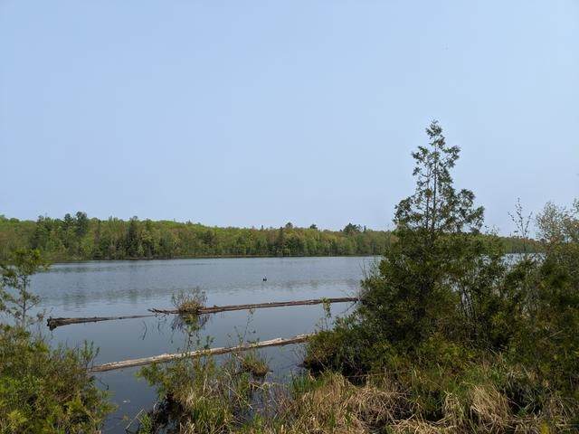 Lot #3 Pixley Shores Road - Photo 1