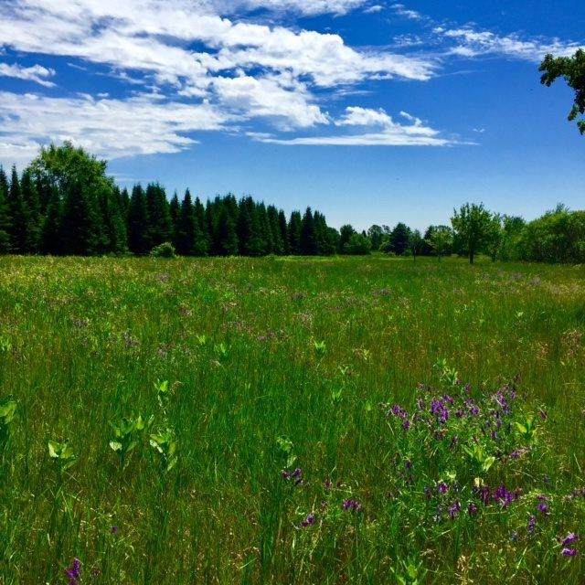 Lot 55-3770 Cumberla Cumberland Drive - Photo 1