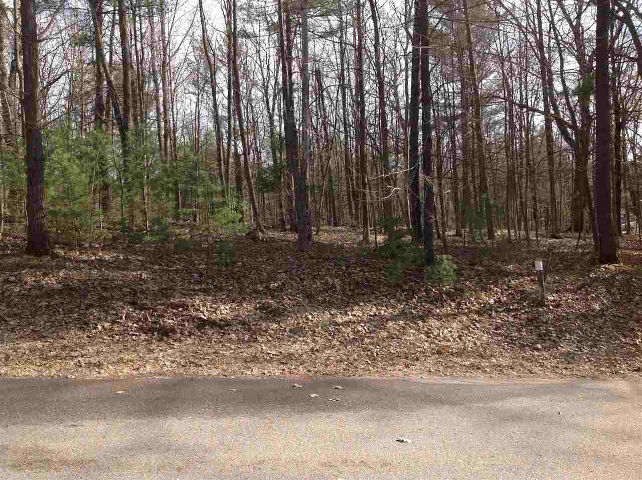 1407 Forest Valley Road - Photo 1