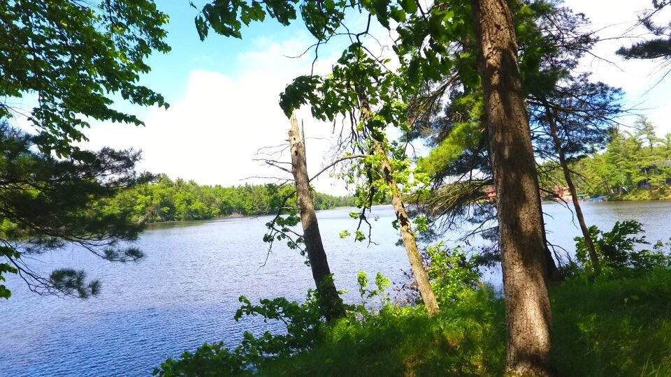 LOT 22 East Shore Trail - Photo 1