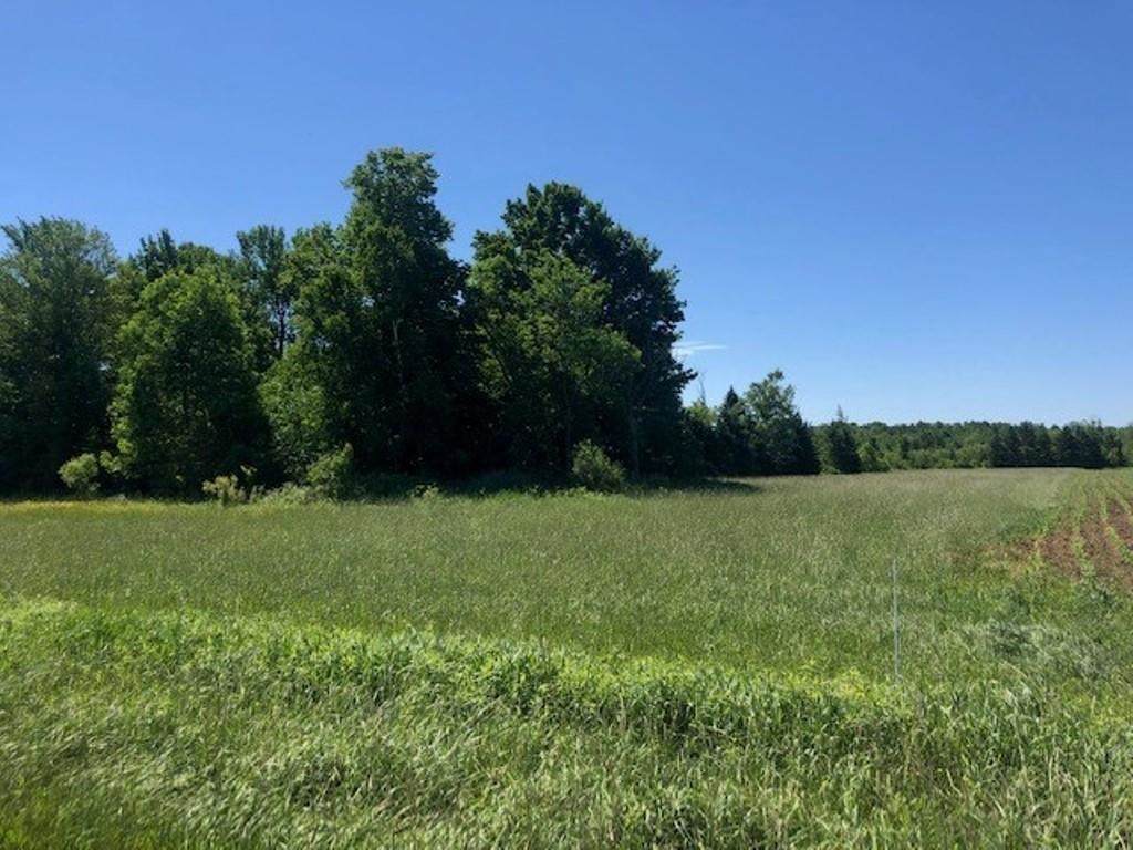 100 Acres Glandon Road - Photo 1