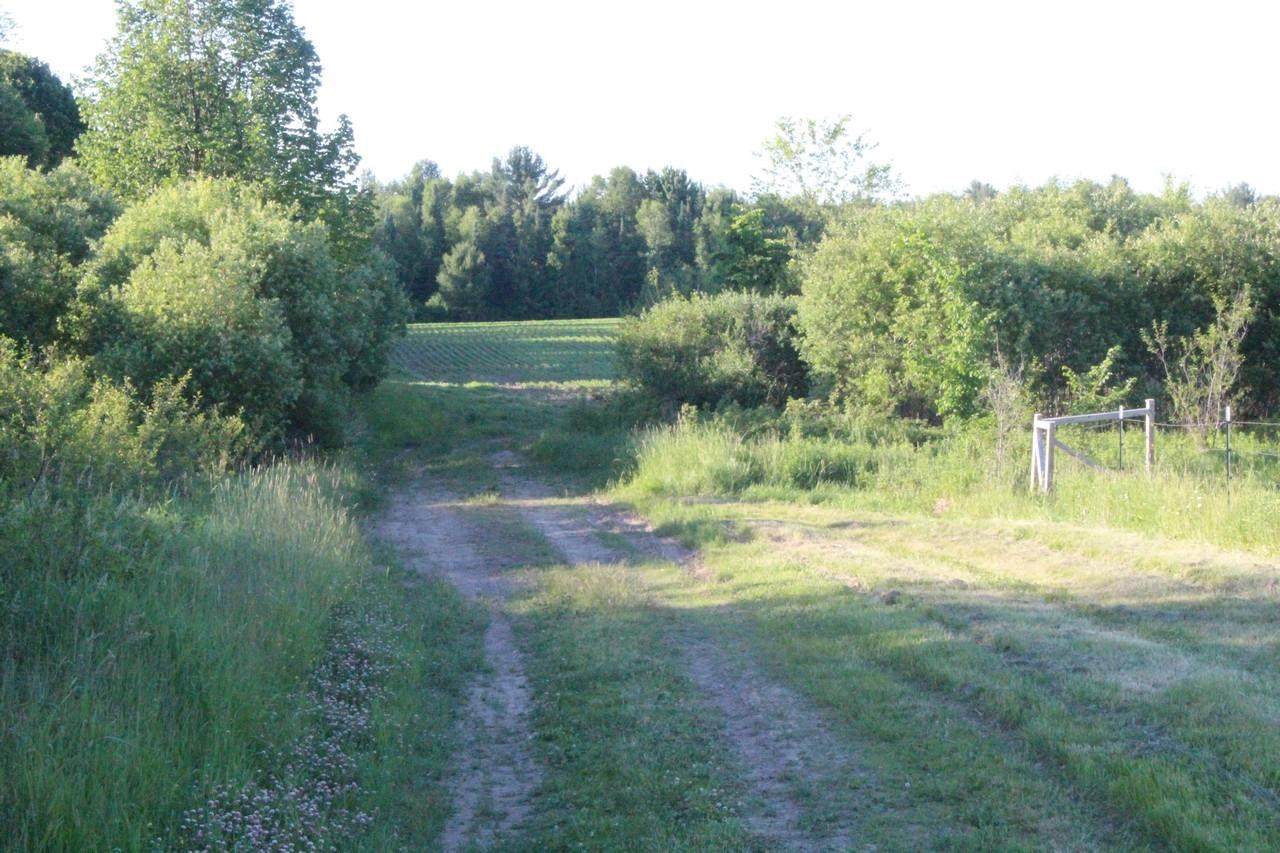41 Acres County Road Q - Photo 1