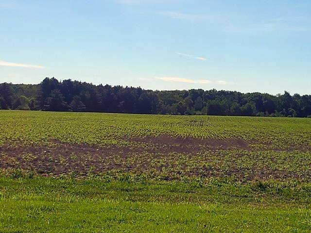 8048 County Road B - Photo 1
