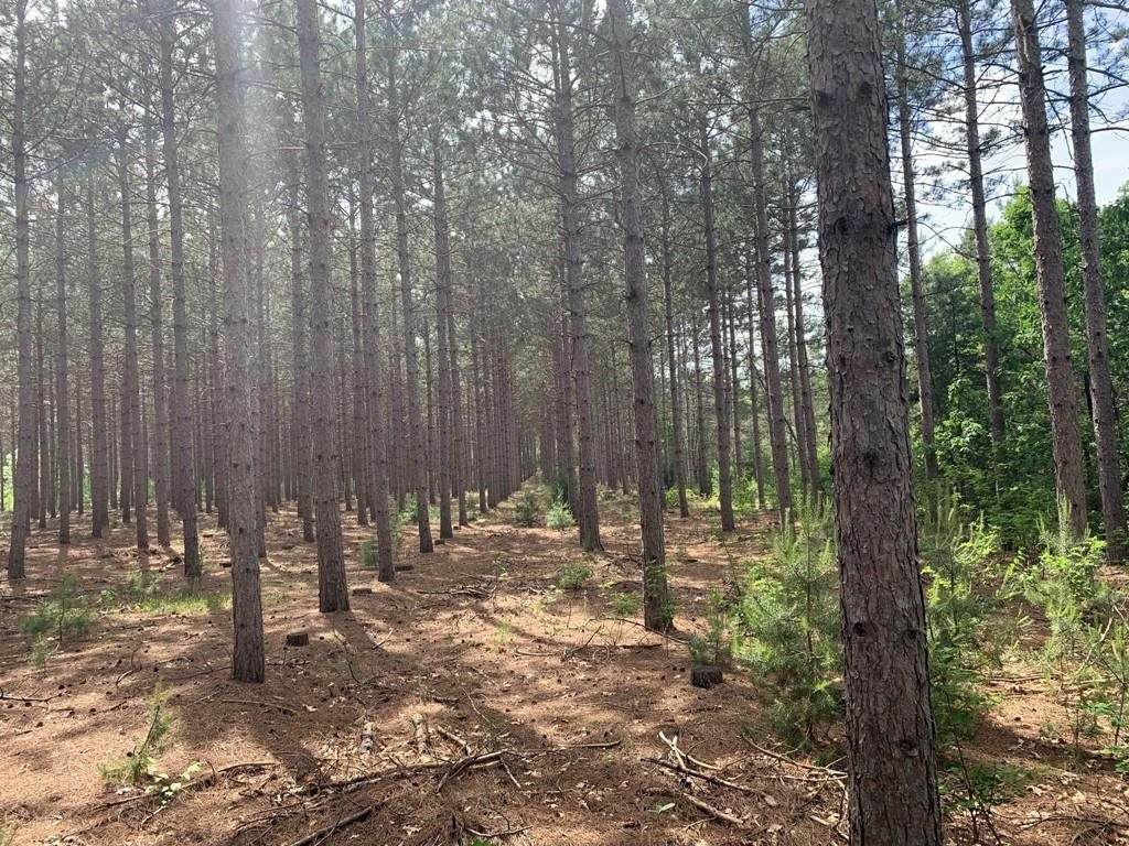 787 State Highway 73 - Photo 1