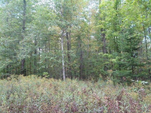 516.7 Acres County Road A - Photo 1