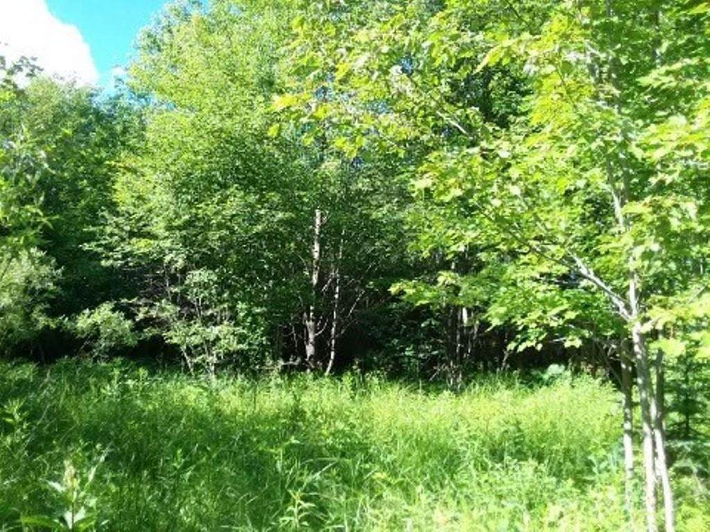 10.3 Acres Restlawn Road - Photo 1