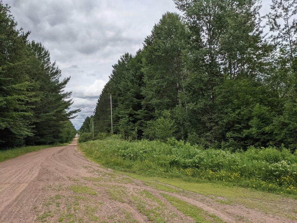 76.29 Acres-Olivotti Highway 51 - Photo 1