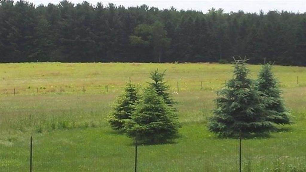 140051 Highland Drive - Photo 1