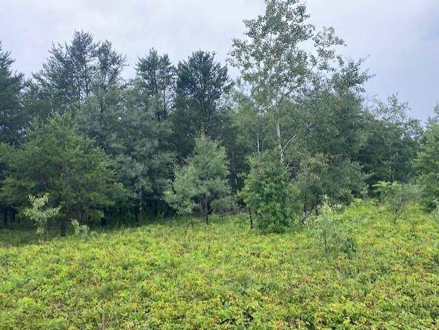 Lot 2 River Ridge Circle - Photo 1