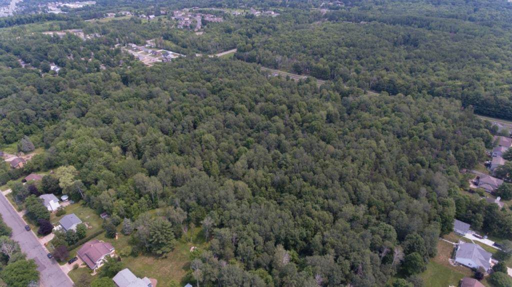 13 Acres MOL-Land Be Urban Street - Photo 1