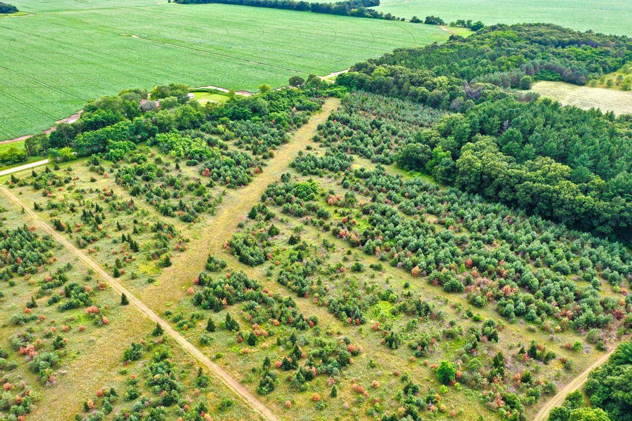 74 acres Apache Road - Photo 1