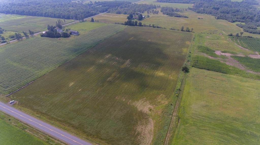 19.74 Acres County Road C - Photo 1
