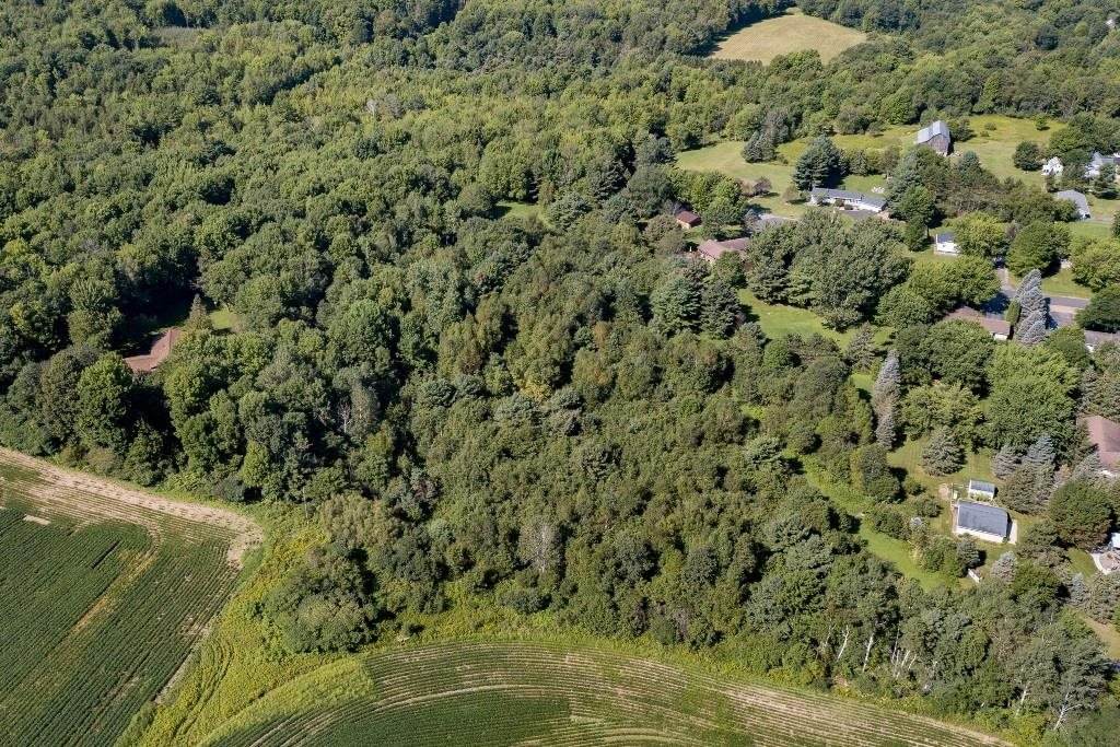 4.59 Acres Thornapple Road - Photo 1