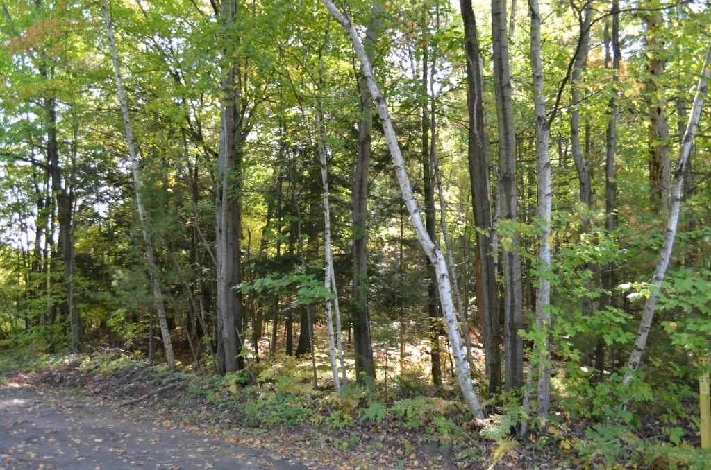 Lot 1 Bielen Road - Photo 1