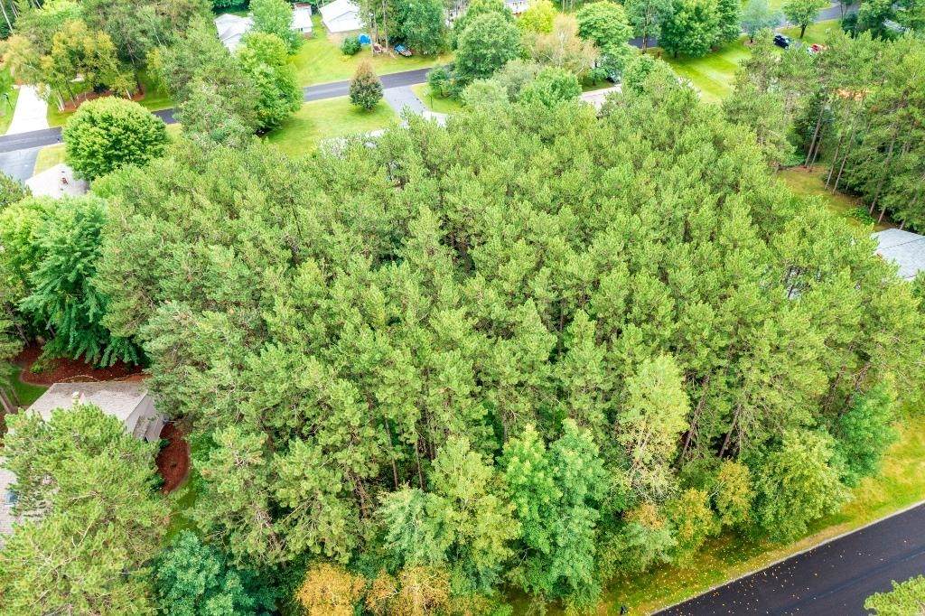 .51 Acres Judy Drive - Photo 1