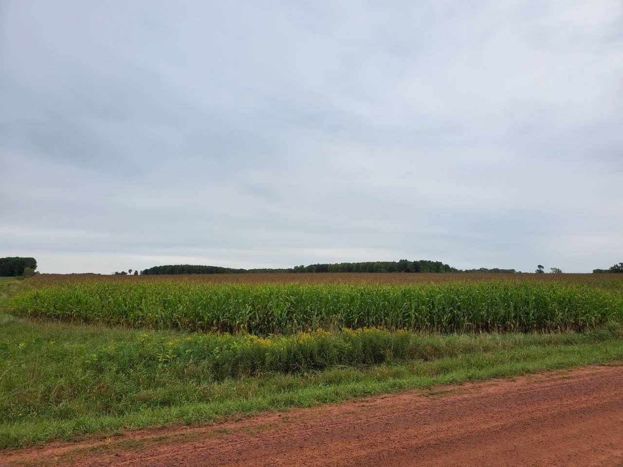 153RD ROAD - Photo 1