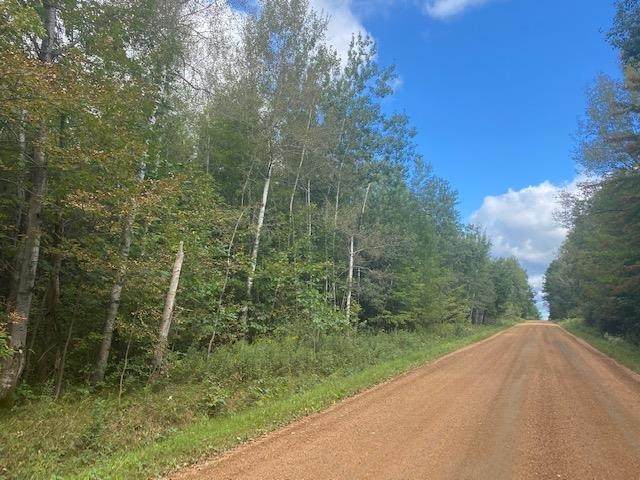 01 Mosser Road - Photo 1