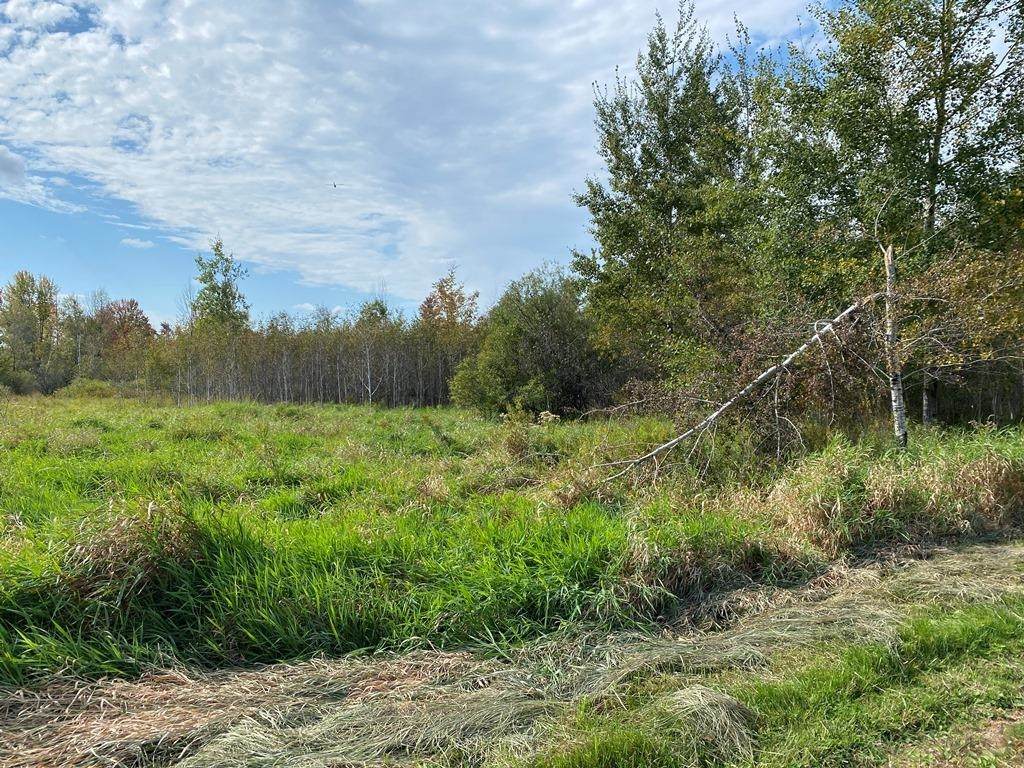 56.15 Acres Kline Road - Photo 1