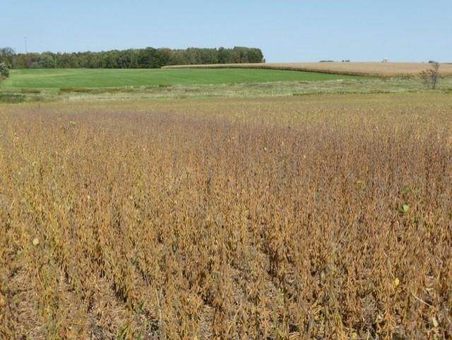 000 County Road N - Photo 1