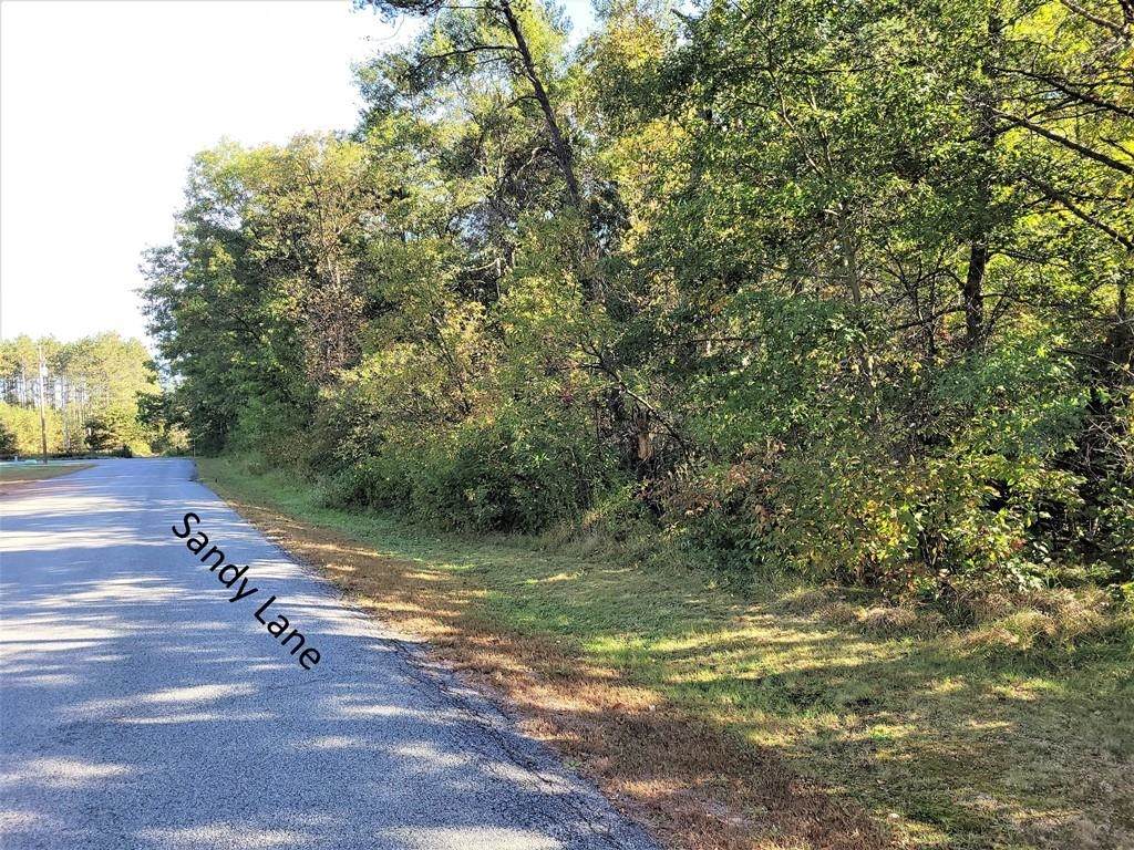 2 Acres Sandy Lane - Photo 1