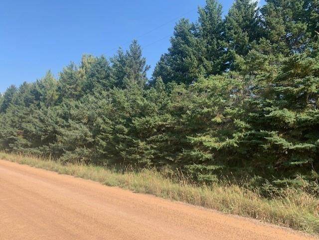 Lot 1 Frey Avenue - Photo 1