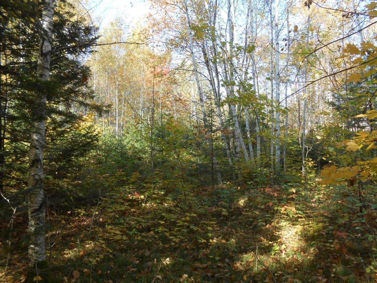 Lot 12 Enterprise Lake Road - Photo 1