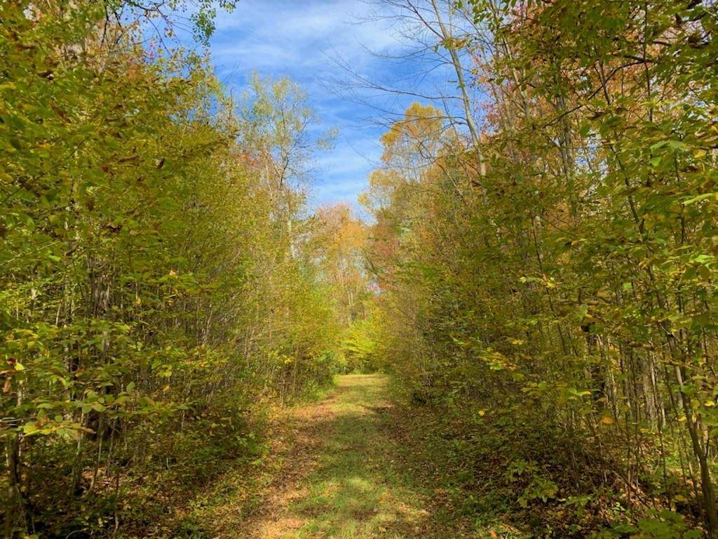 Camp 26 Road - Photo 1