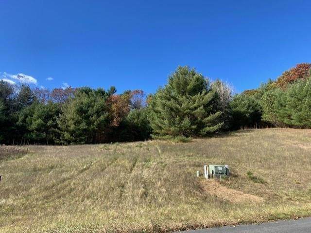 Lot 20 Thorsen Trail - Photo 1
