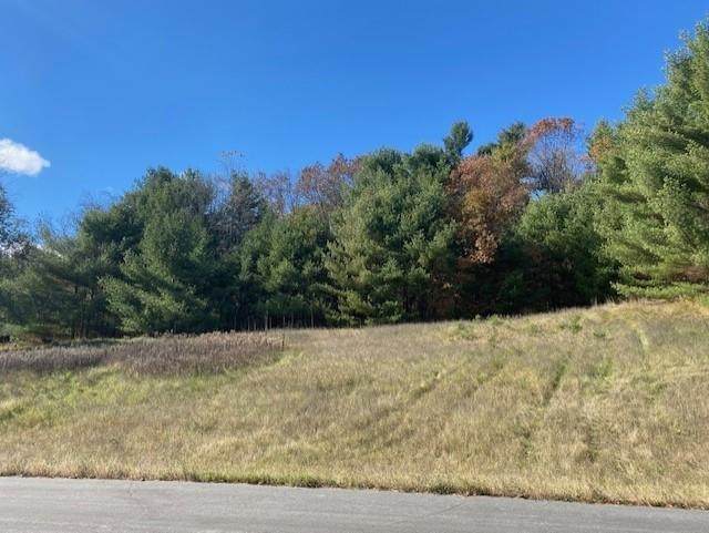 Lot 21 Thorsen Trail - Photo 1