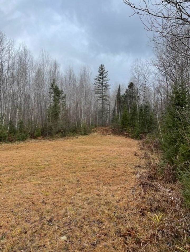 240 ACRES Forks Road - Photo 1