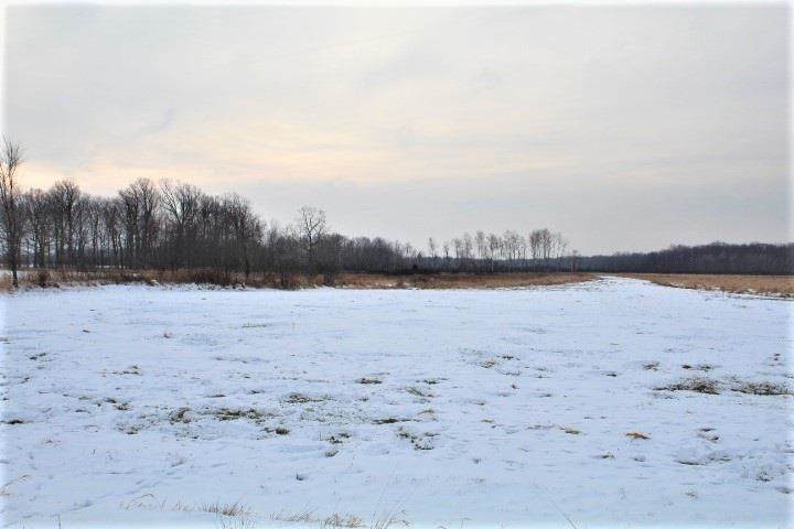 2.12 Acres County Road C - Photo 1