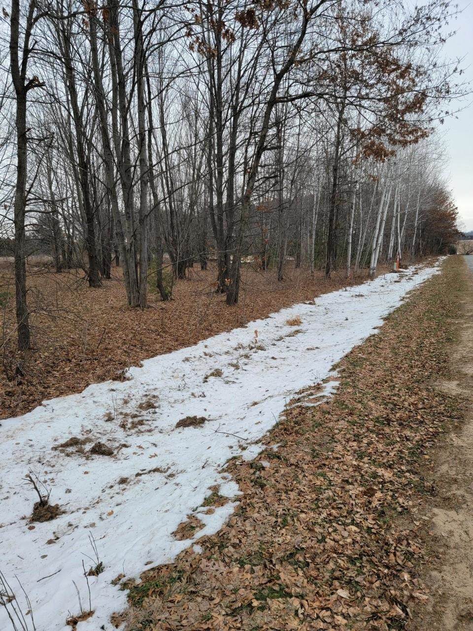 Lot 2 Konopacki Road - Photo 1