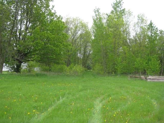 429 Freiburger Avenue - Photo 1
