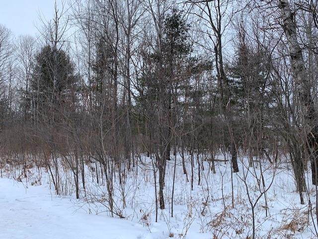 Lot 3 Willow Lane - Photo 1