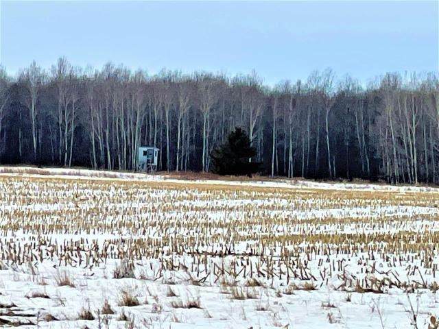 71.75 Highway 45 - Photo 1