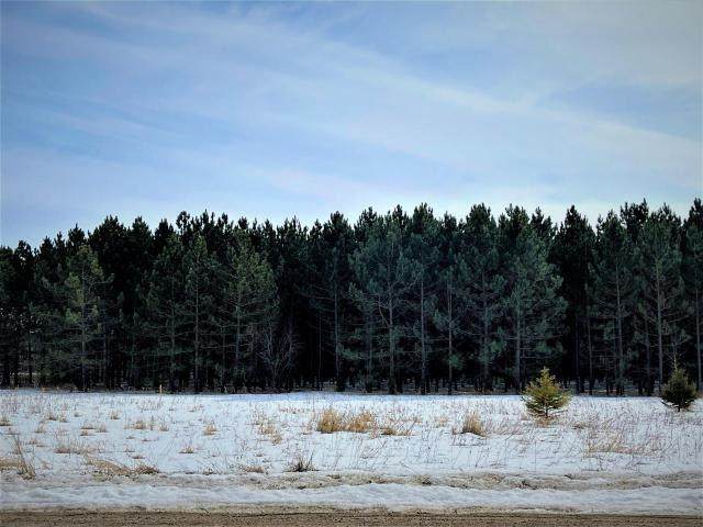 32.29 Highway 45 - Photo 1